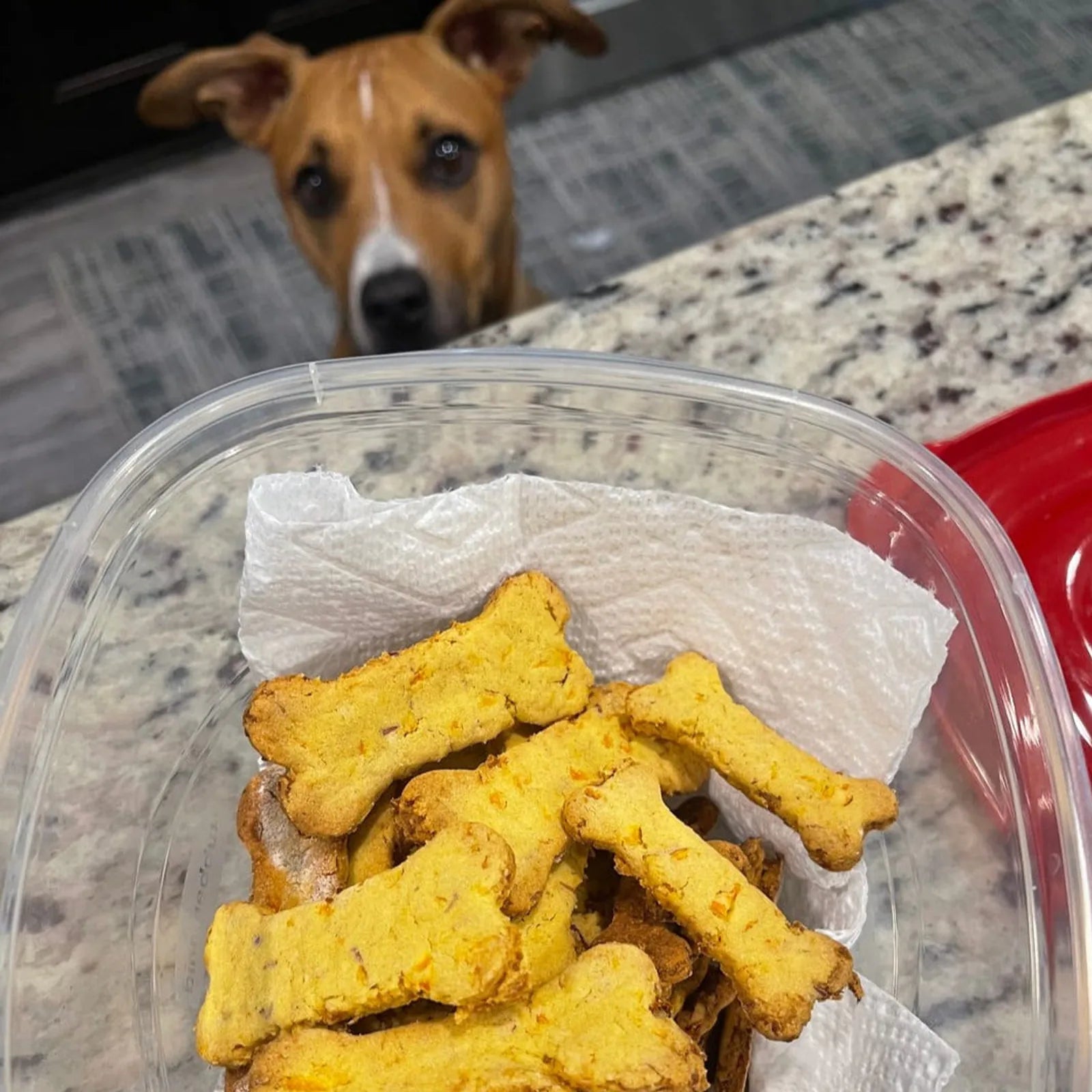 Homemade Dog Treat Kit product image 2