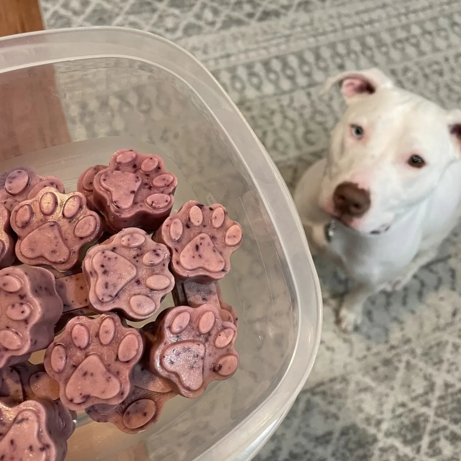 Homemade Dog Treat Kit product image 3