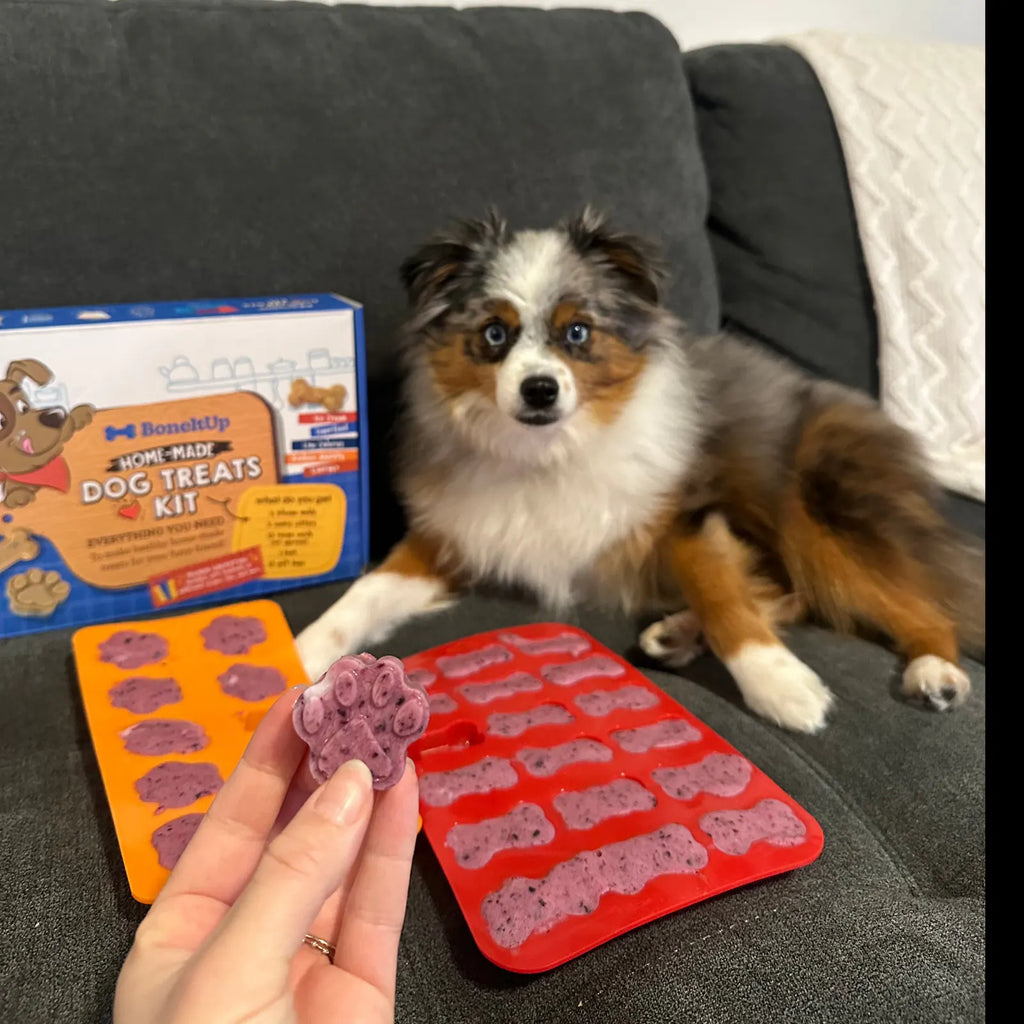 Homemade Dog Treat Kit product image 5