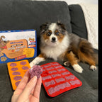 Homemade Dog Treat Kit product image 5