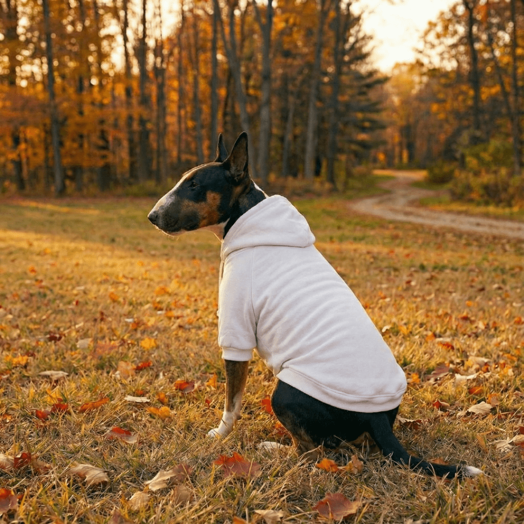 Dog Hoodie product image 9