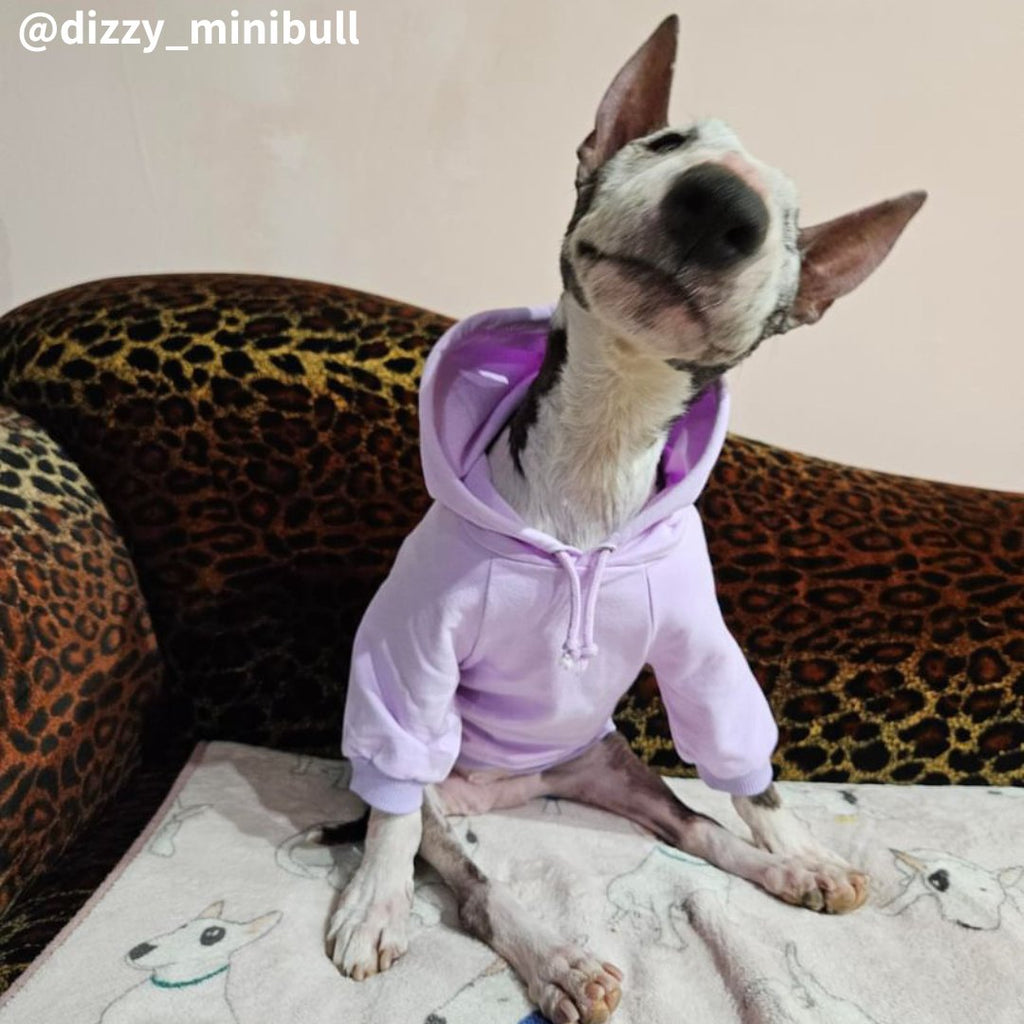 Dog Hoodie product image 3