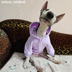 Dog Hoodie product image 3