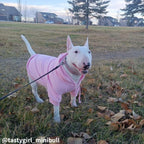 Dog Hoodie product image 2