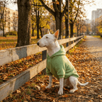 Dog Hoodie product image 7
