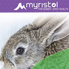 Pet Joint Supplement Tablets for Rabbit-Friendly Daily Mobility Support with Myristol™ Formula and Botanical Herbs