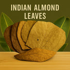Indian Almond Leaves product image 6