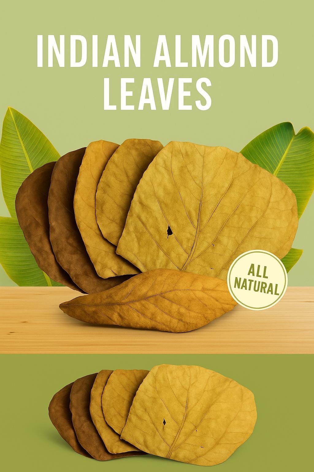 Indian Almond Leaves product image 7