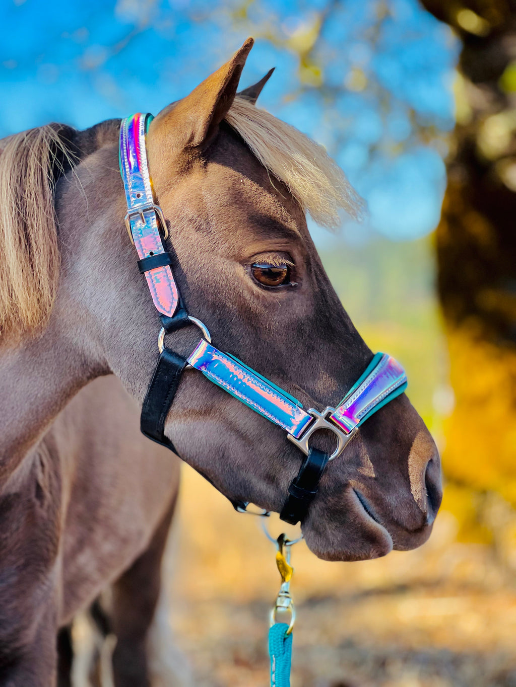 Leather Horse Halter product image 4