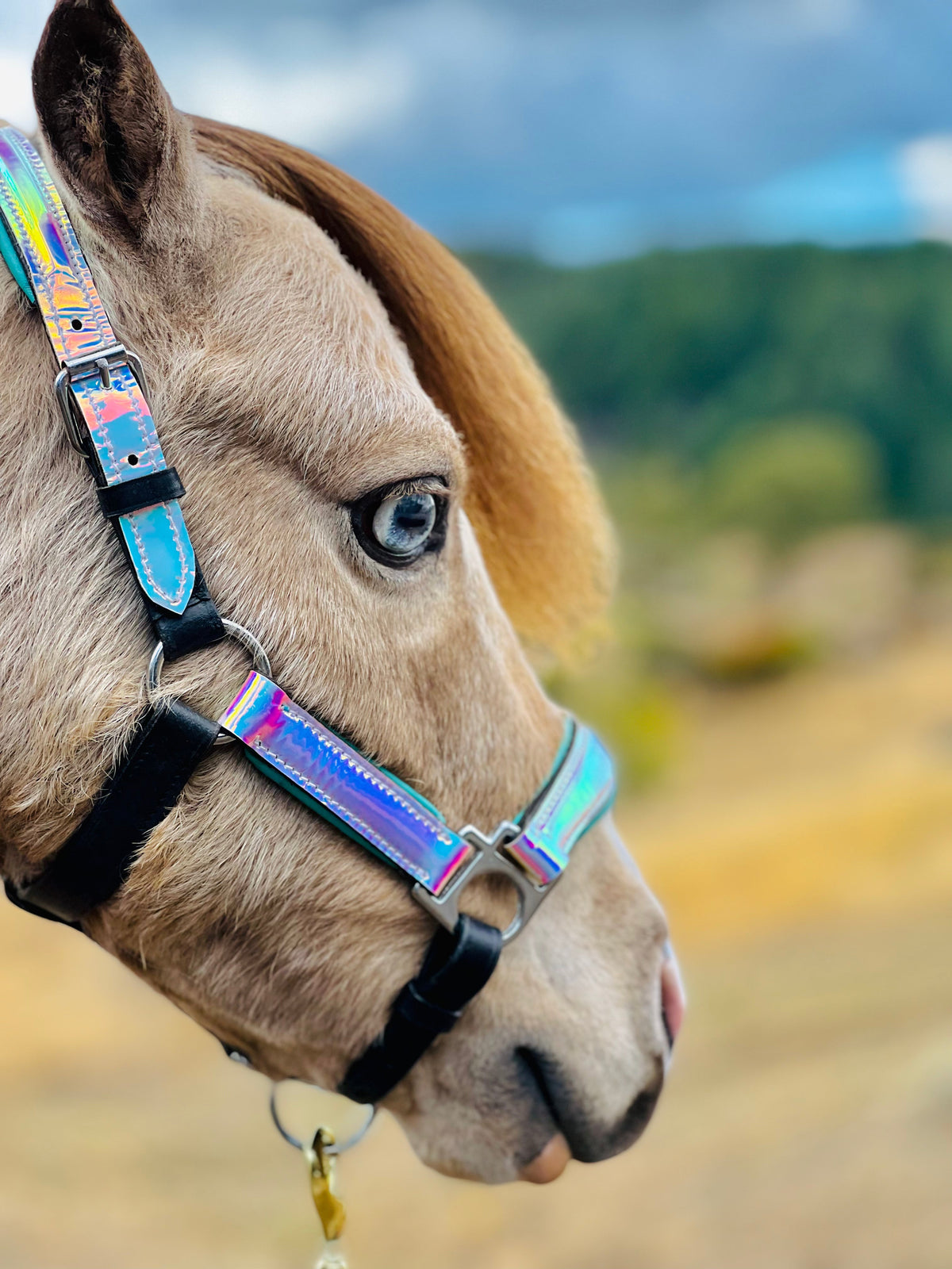 Leather Horse Halter product image 8