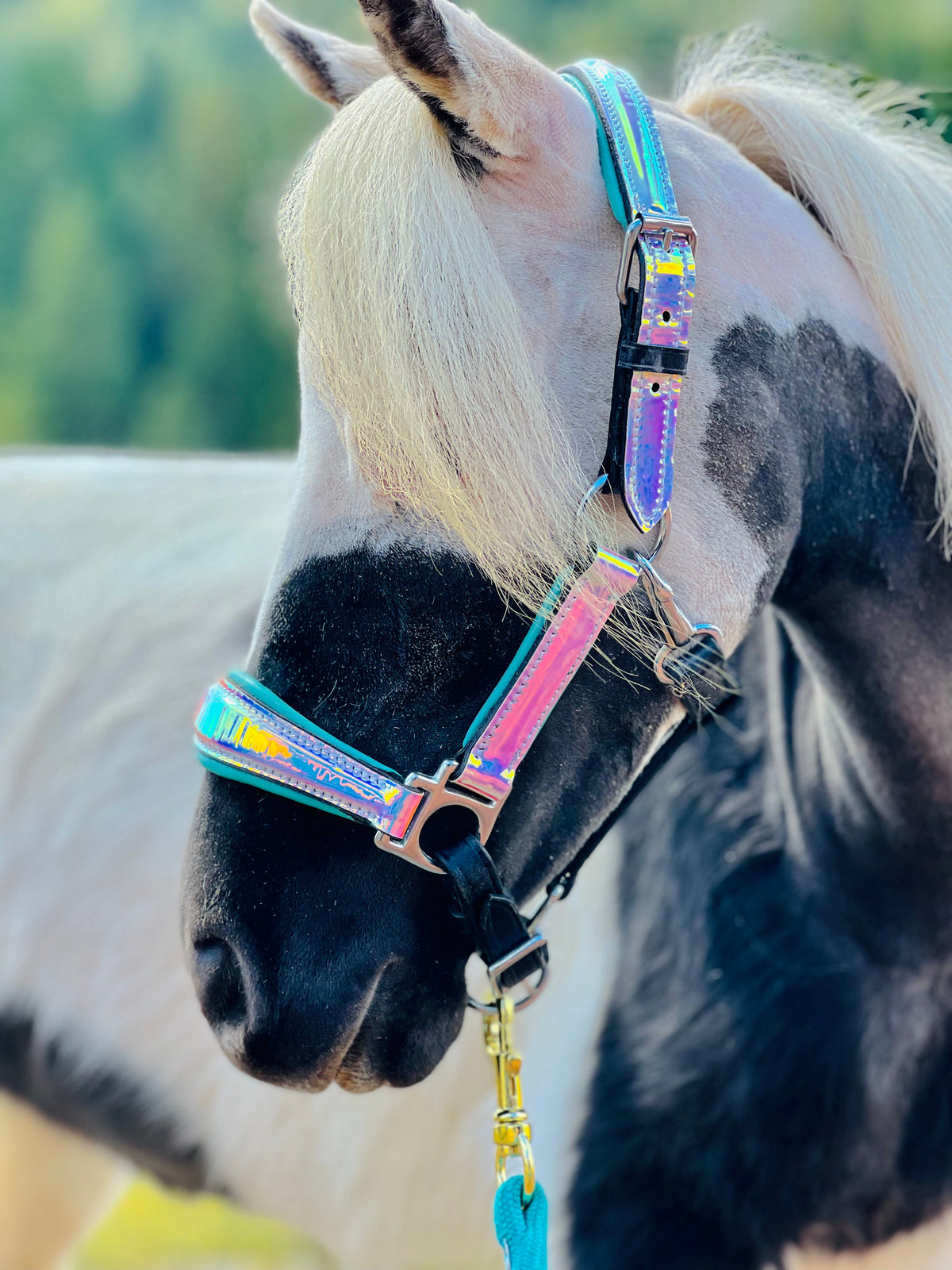 Leather Horse Halter product image 1