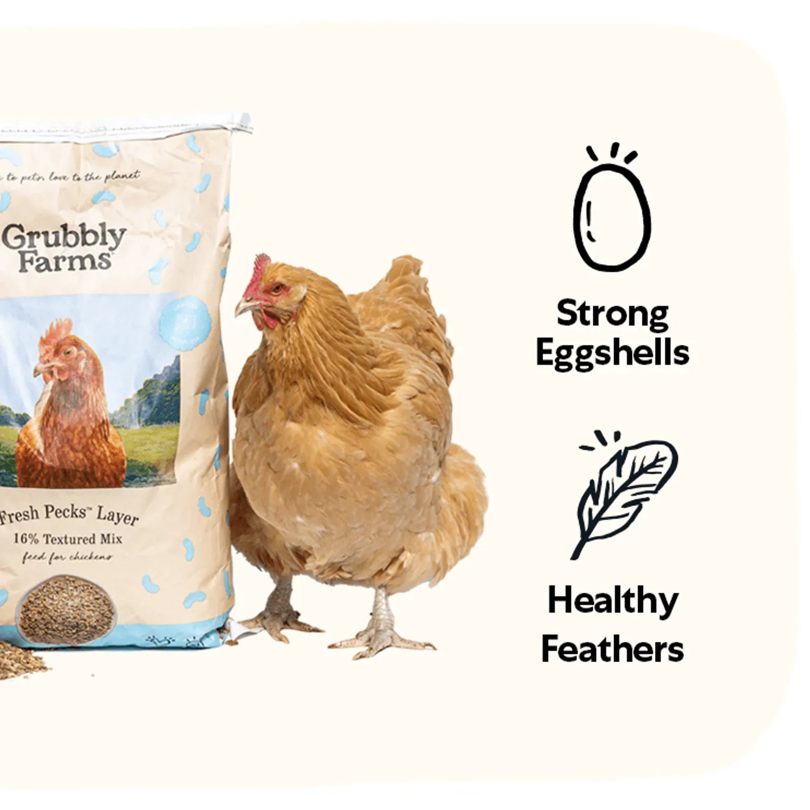 Layer chicken feed with grub protein and whole grains, product image 3