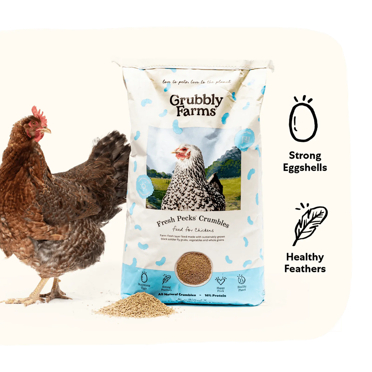 Layer chicken feed with grub protein and whole grains, product image 4