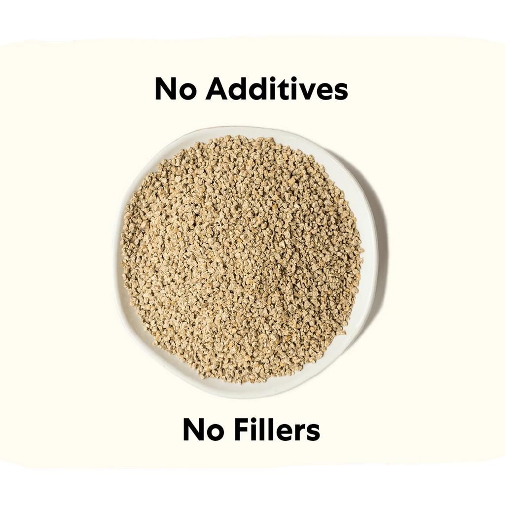 Layer chicken feed with grub protein and whole grains, product image 5