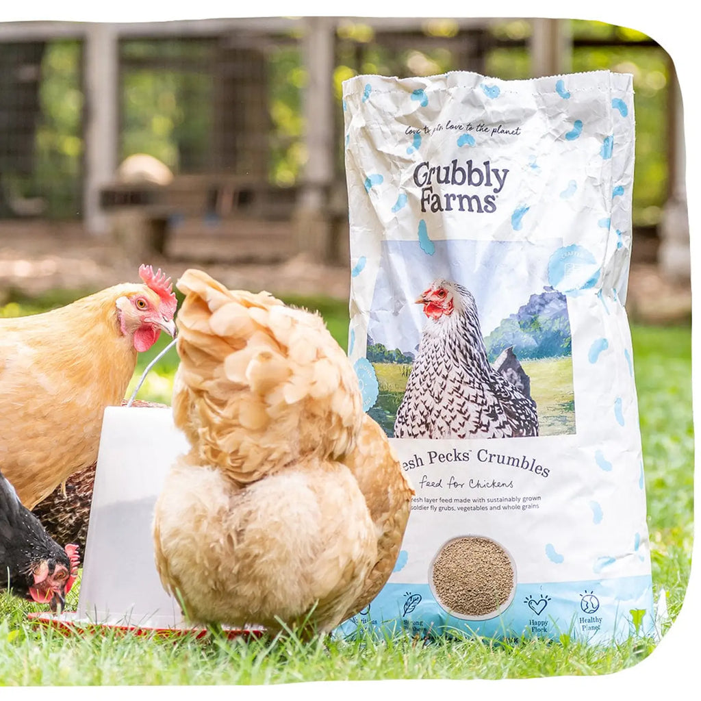 Layer chicken feed with grub protein and whole grains, product image 7