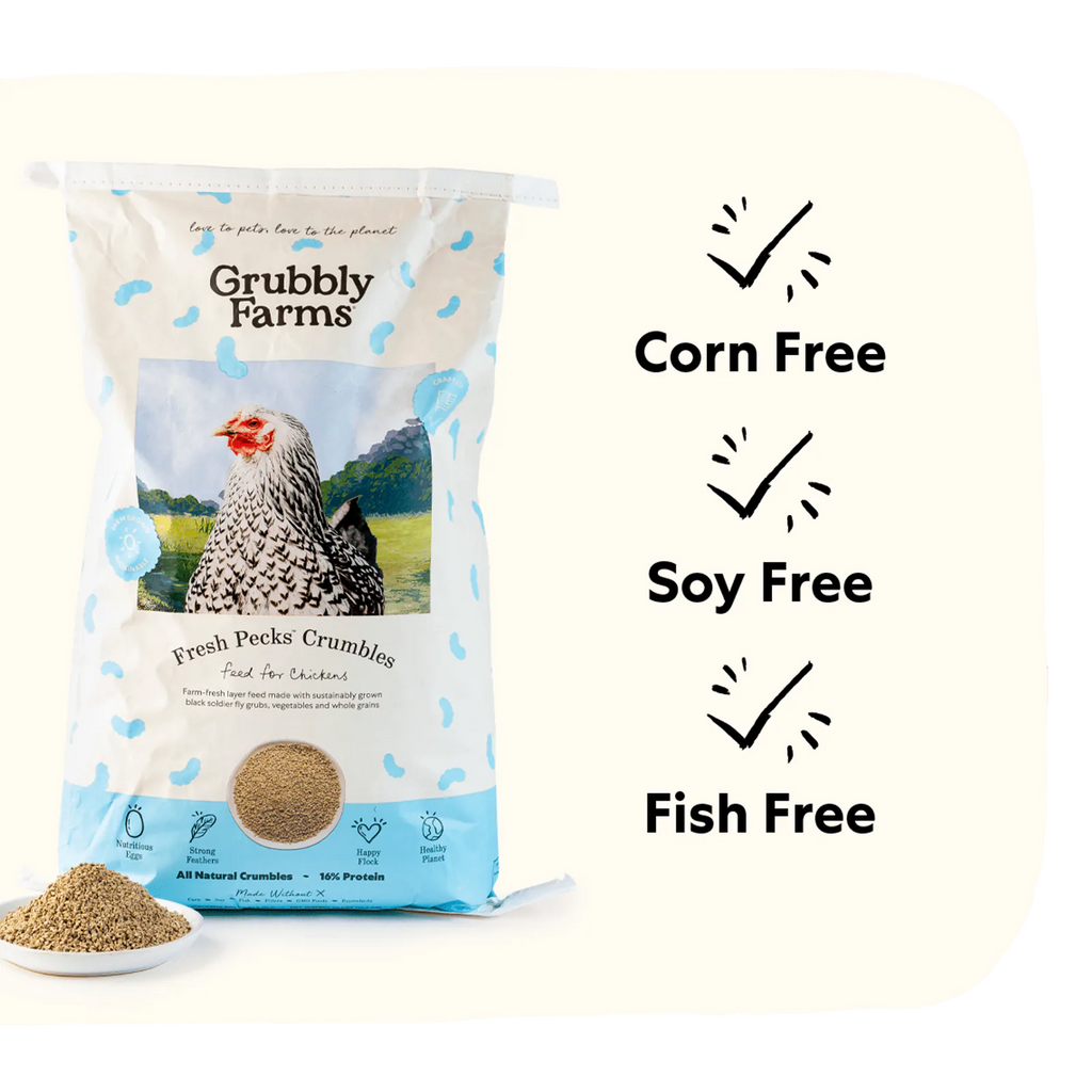 Layer chicken feed with grub protein and whole grains, product image 8