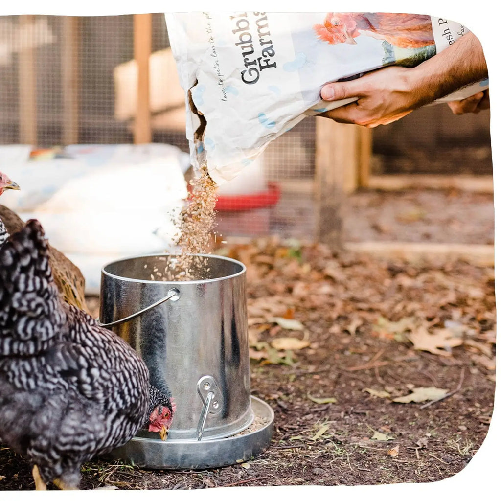 Layer chicken feed with grub protein and whole grains, product image 10
