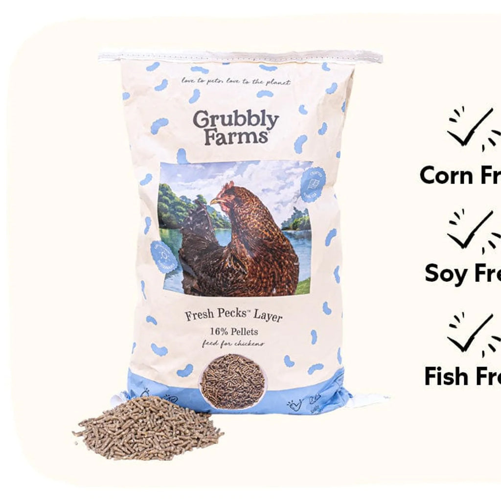 Layer chicken feed with grub protein and whole grains, product image 16
