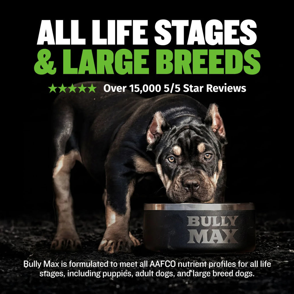 Low fat high protein dog food with lamb meal 25 11 formula, product image 3