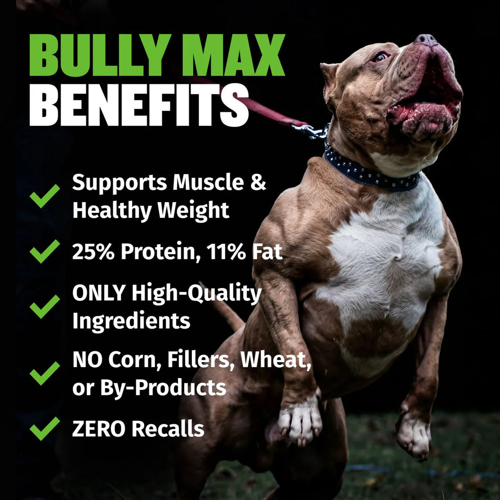Low fat high protein dog food with lamb meal 25 11 formula, product image 5