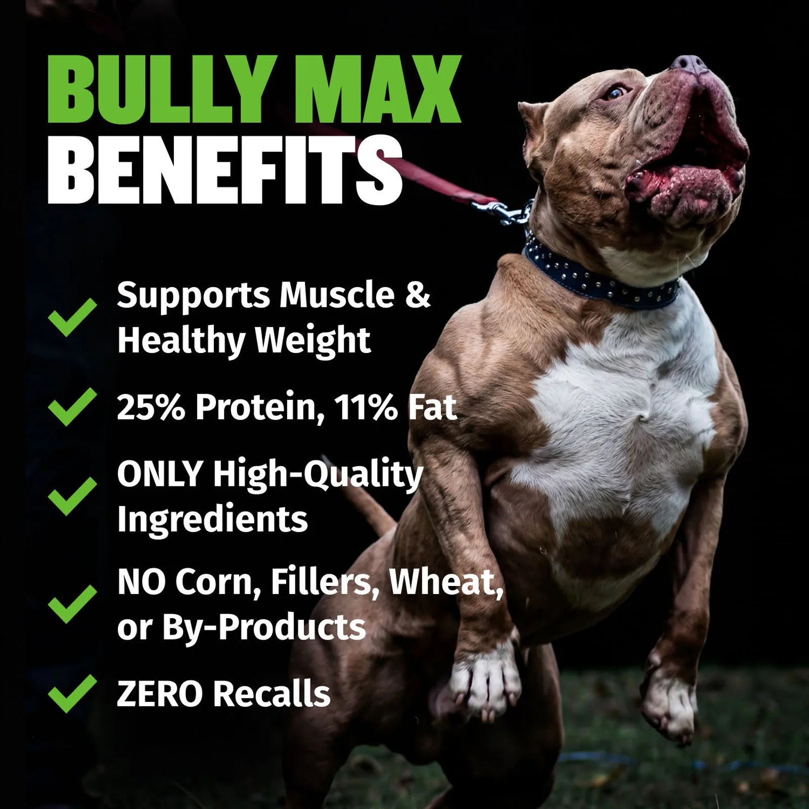 Low fat high protein dog food with lamb meal 25 11 formula, product image 5