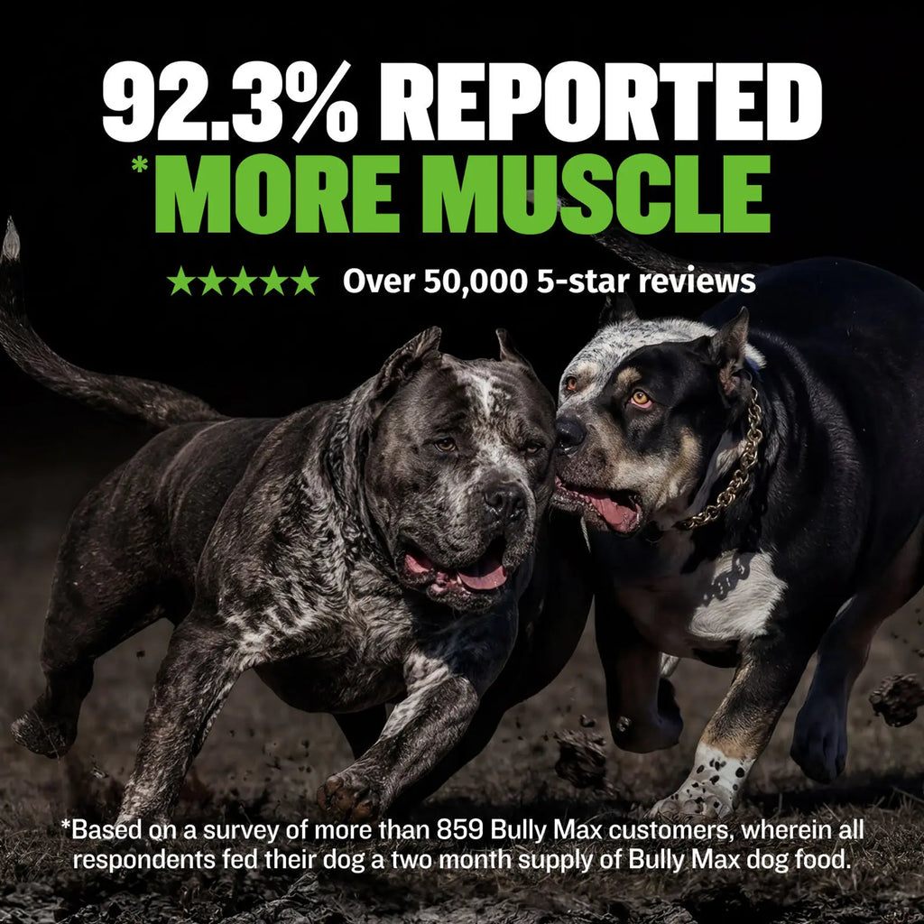 Low fat high protein dog food with lamb meal 25 11 formula, product image 6