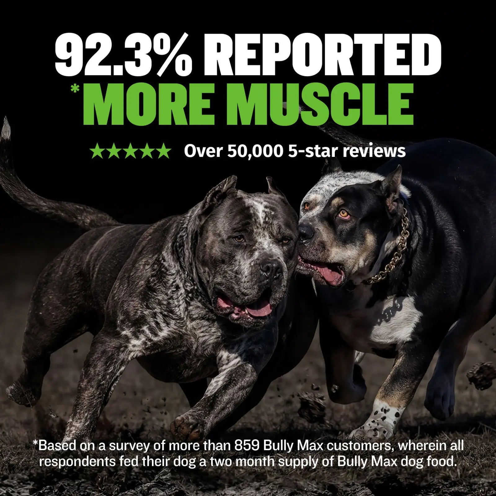 Low fat high protein dog food with lamb meal 25 11 formula, product image 6