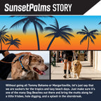 Martingale Dog Collar for Secure Everyday Walks, Adjustable Abrasion-Resistant Polyester for Comfortable Fit