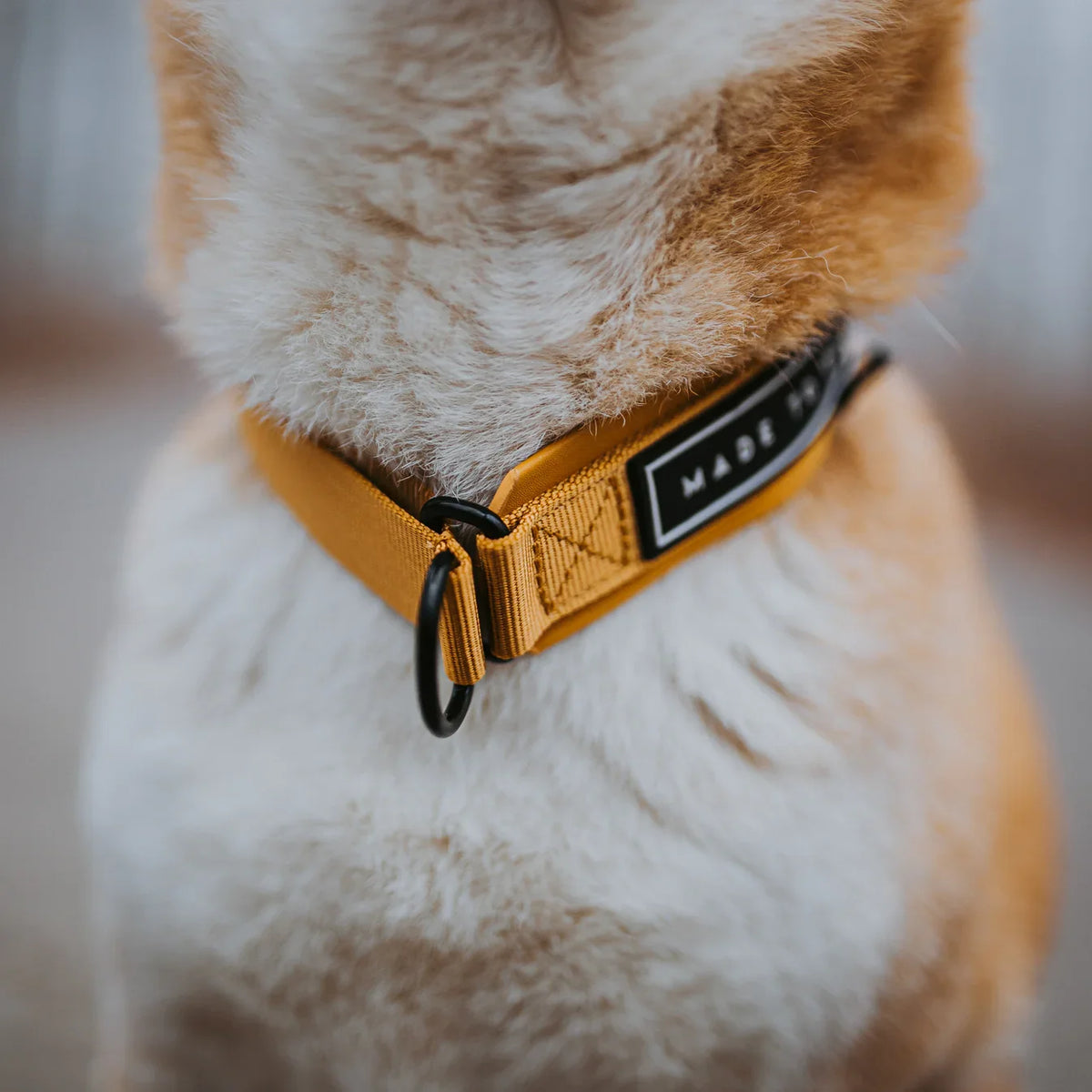 Martingale Collar product image 20