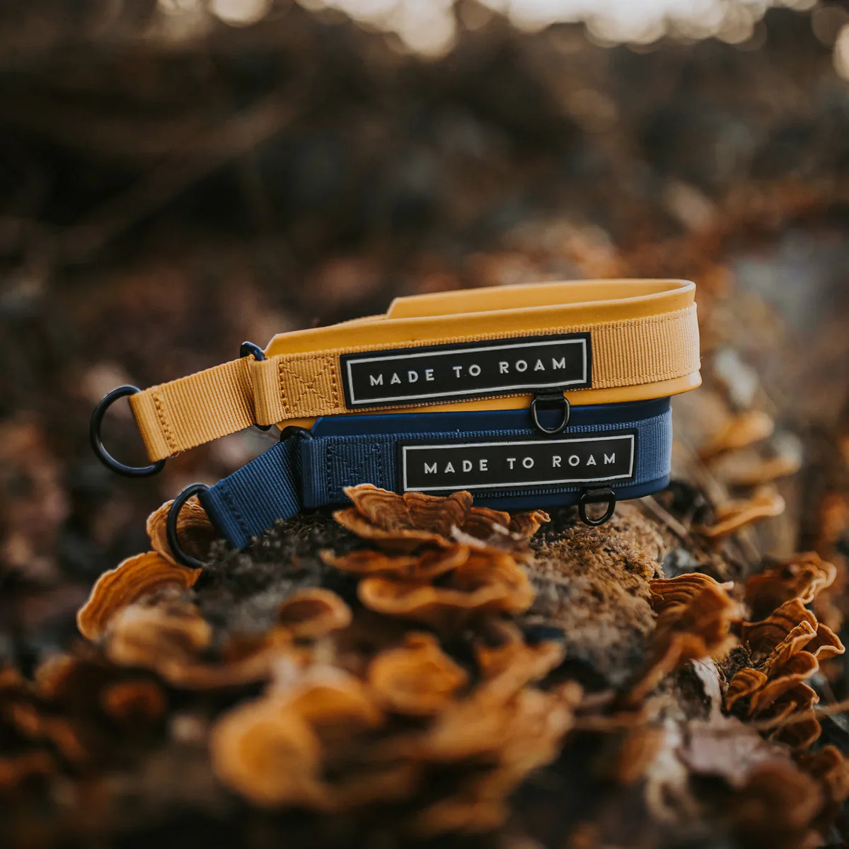 Martingale Collar product image 21