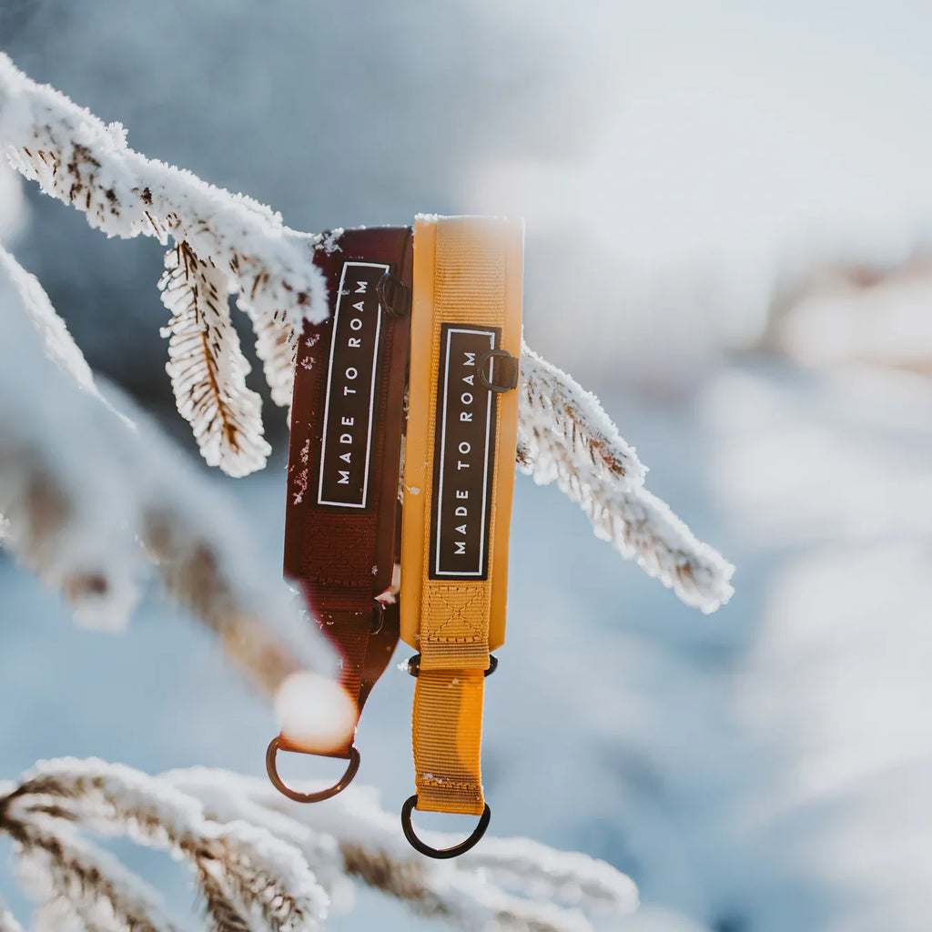 Martingale Collar product image 17