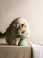 Elevated Ceramic Pet Bowl product image 3