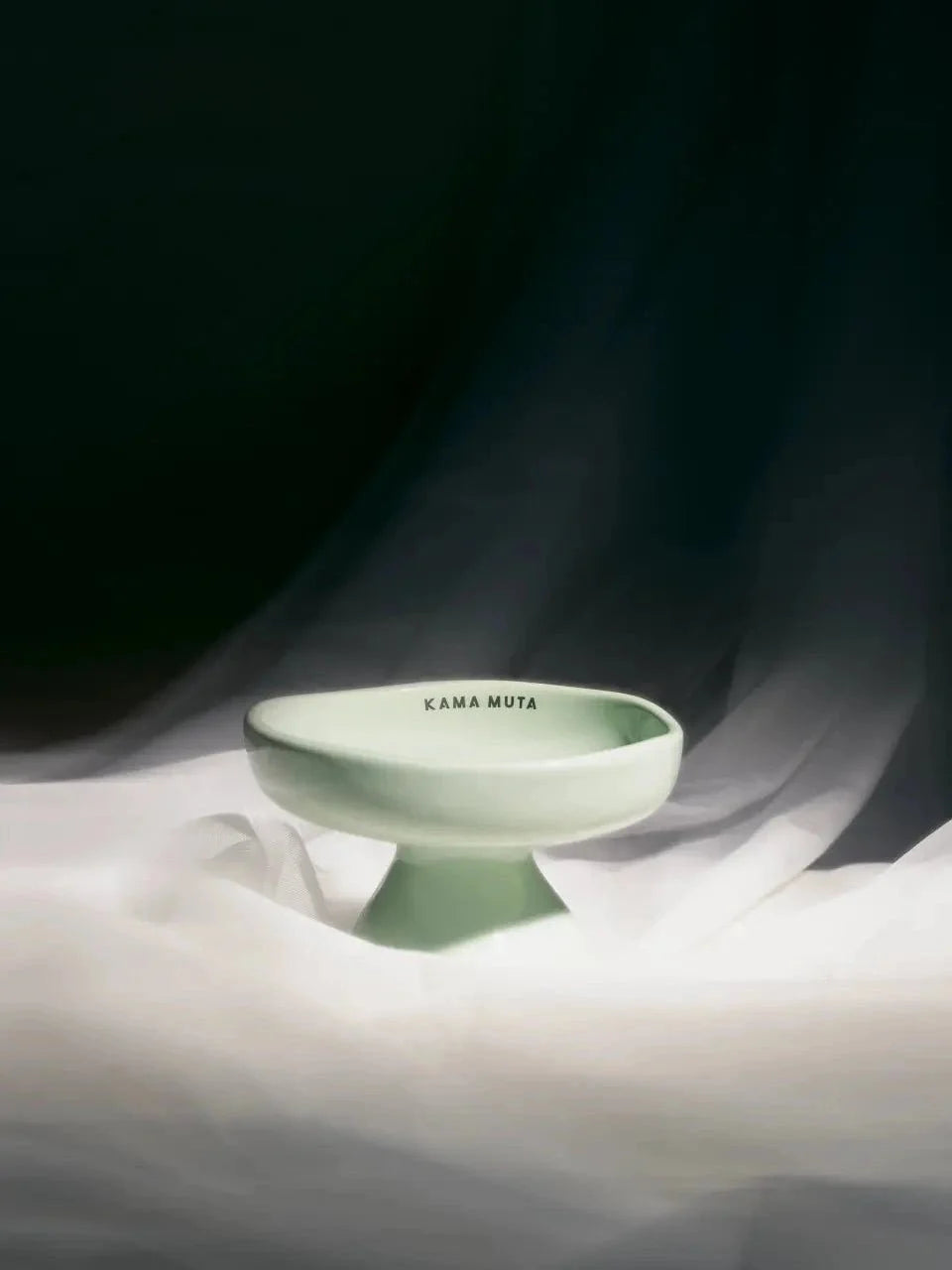 Elevated Ceramic Pet Bowl product image 15
