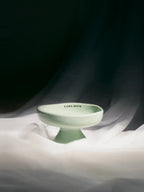 Elevated Ceramic Pet Bowl product image 15
