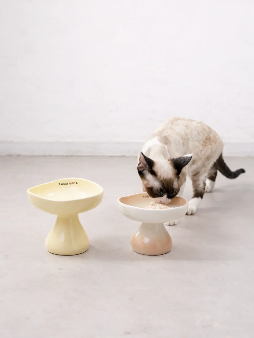 Elevated Ceramic Pet Bowl product image 9
