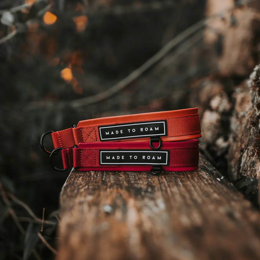 Martingale Collar product image 28