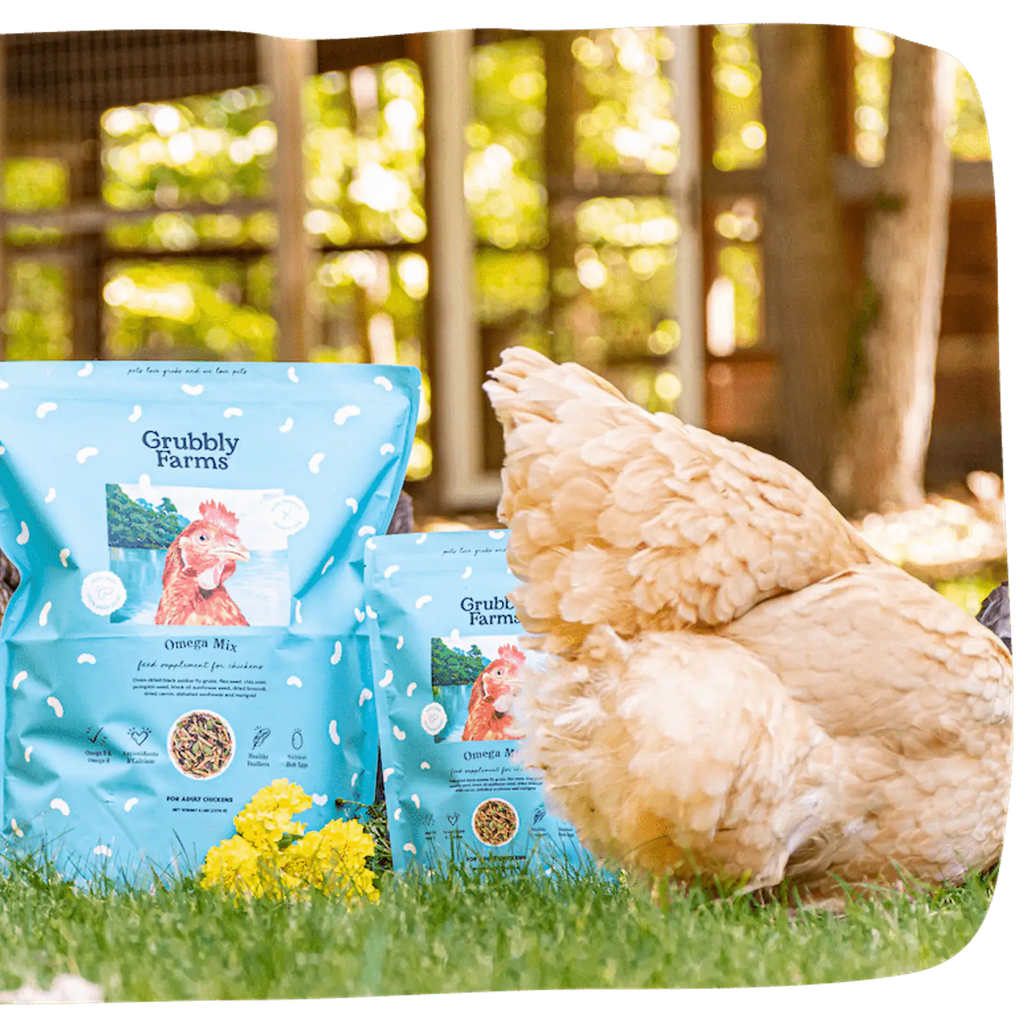 Omega-Rich Chicken Feed Supplement product view 1