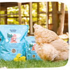 Omega-Rich Chicken Feed Supplement product view 1