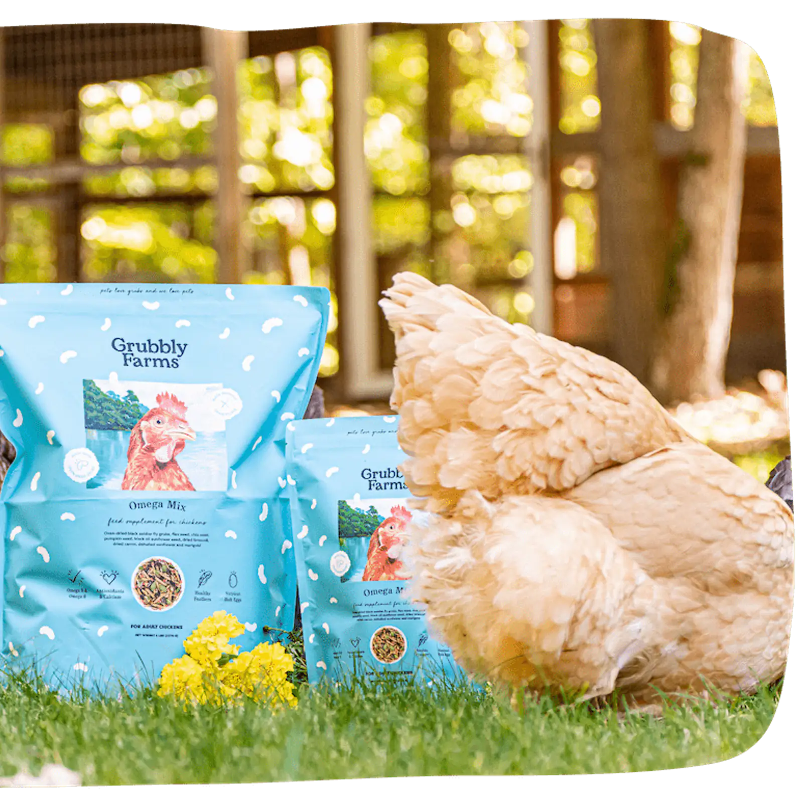 Omega-Rich Chicken Feed Supplement product view 1