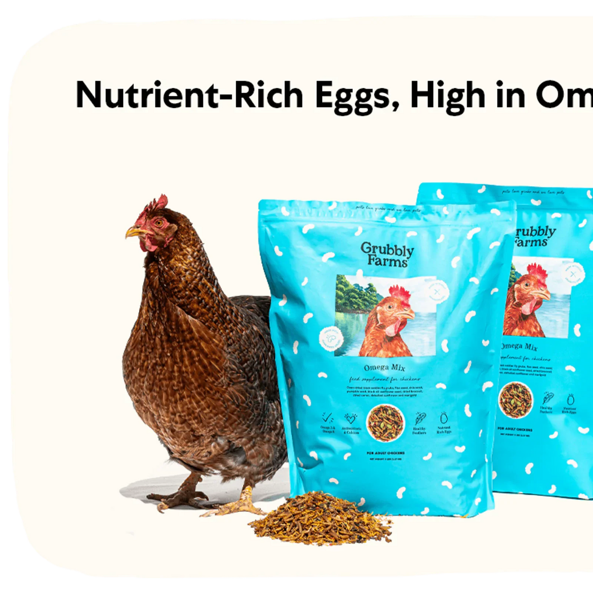 Omega-Rich Chicken Feed Supplement, 10 lb
