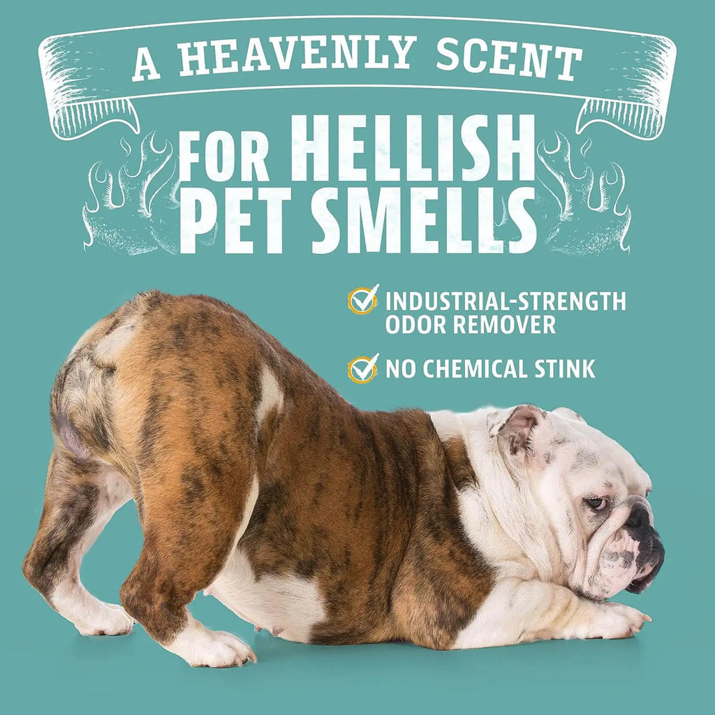 Orange Oil Pet Odor Eliminator Spray product image 5