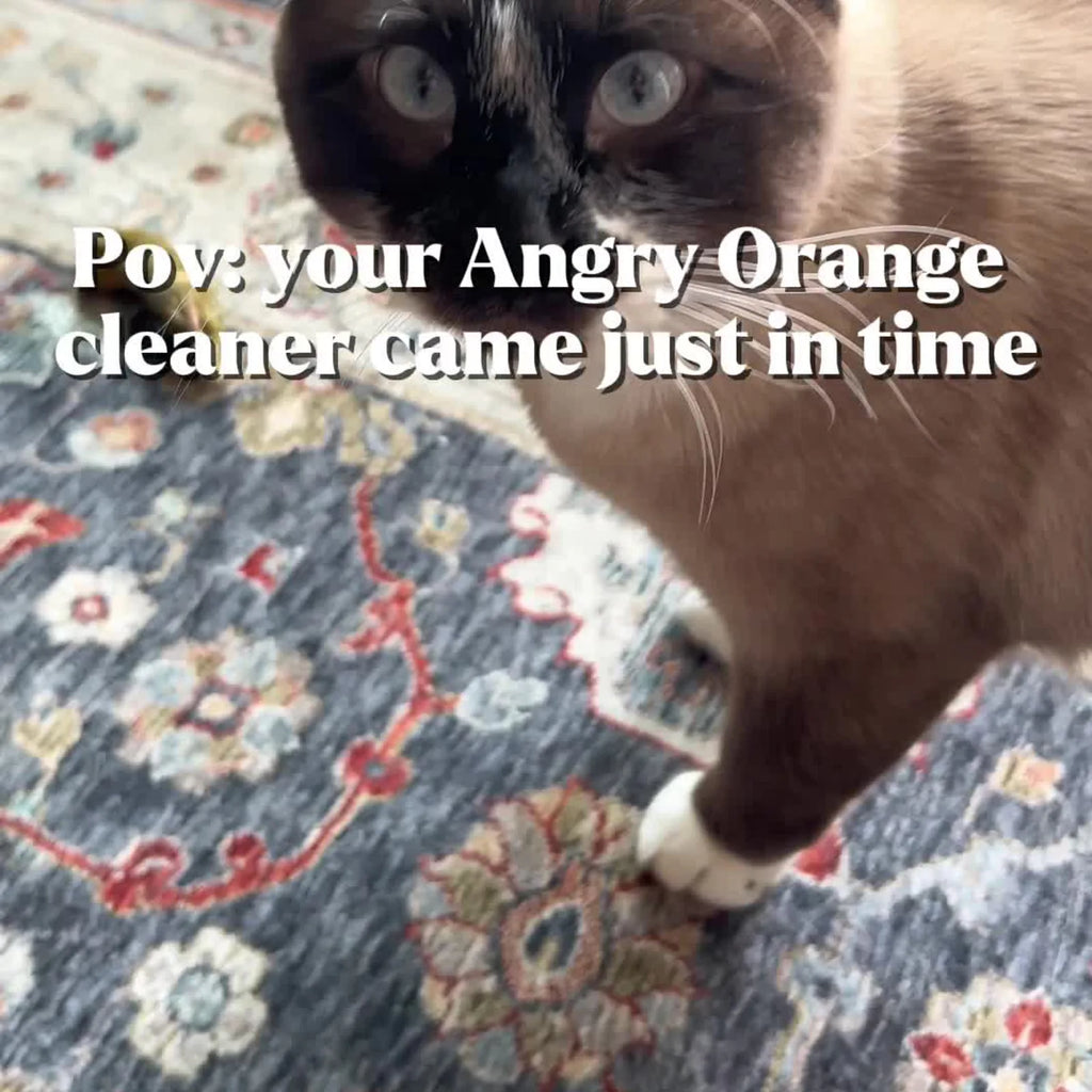 Angry Orange Pet Odor Eliminator - Instagram UGC