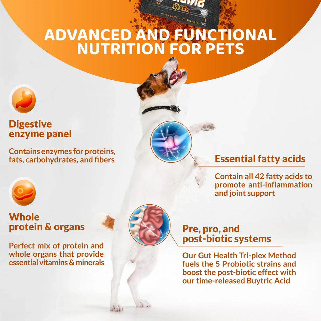 Origins 5-in-1 Fish | Dog Supplement Powder, Dog Food Topper for Gut Health, Skin & Coat, and Joint Support product image 2