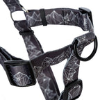 Dog Harness for Comfortable Everyday Walks, Small to XL Sizes for Daily Leash Time and Post-Walk Removal