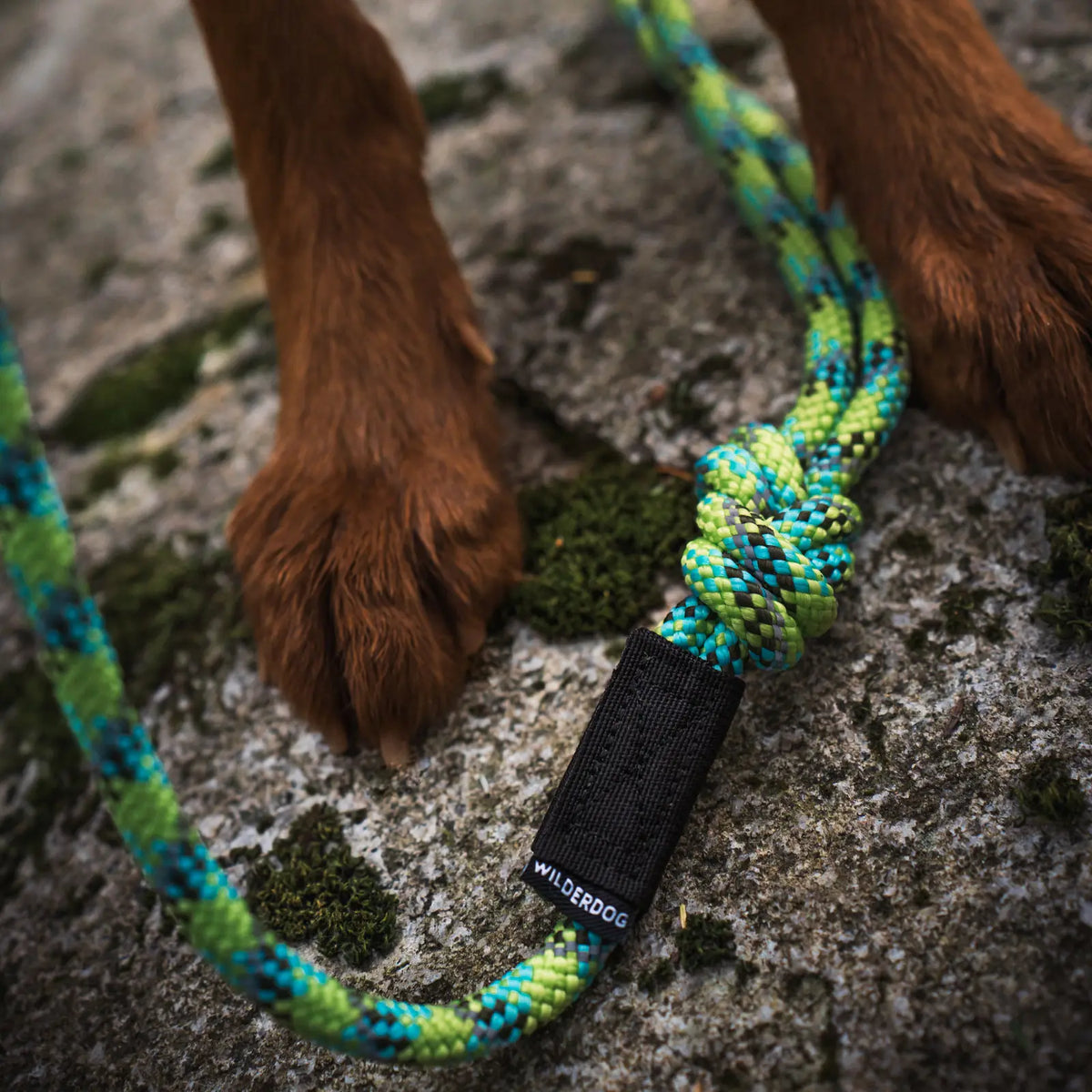 Rope dog leash with locking carabiner for outdoor walks