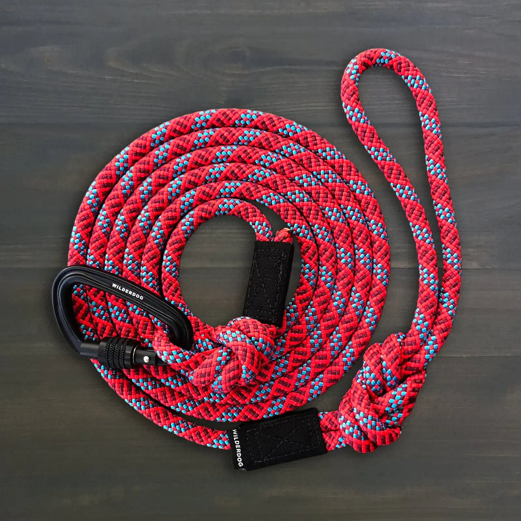 Rope dog leash with locking carabiner for outdoor walks - S84-DOG-P01-V001