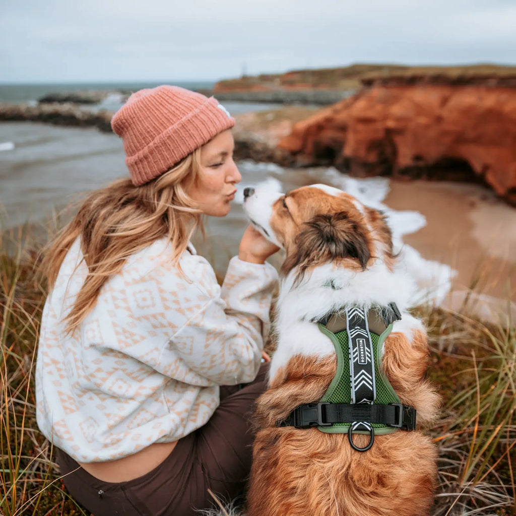 Adjustable reflective dog harness with breathable mesh
