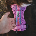 Adjustable reflective dog harness with breathable mesh