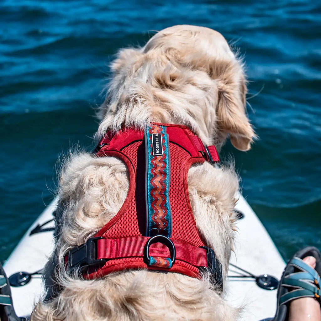 Adjustable reflective dog harness with breathable mesh