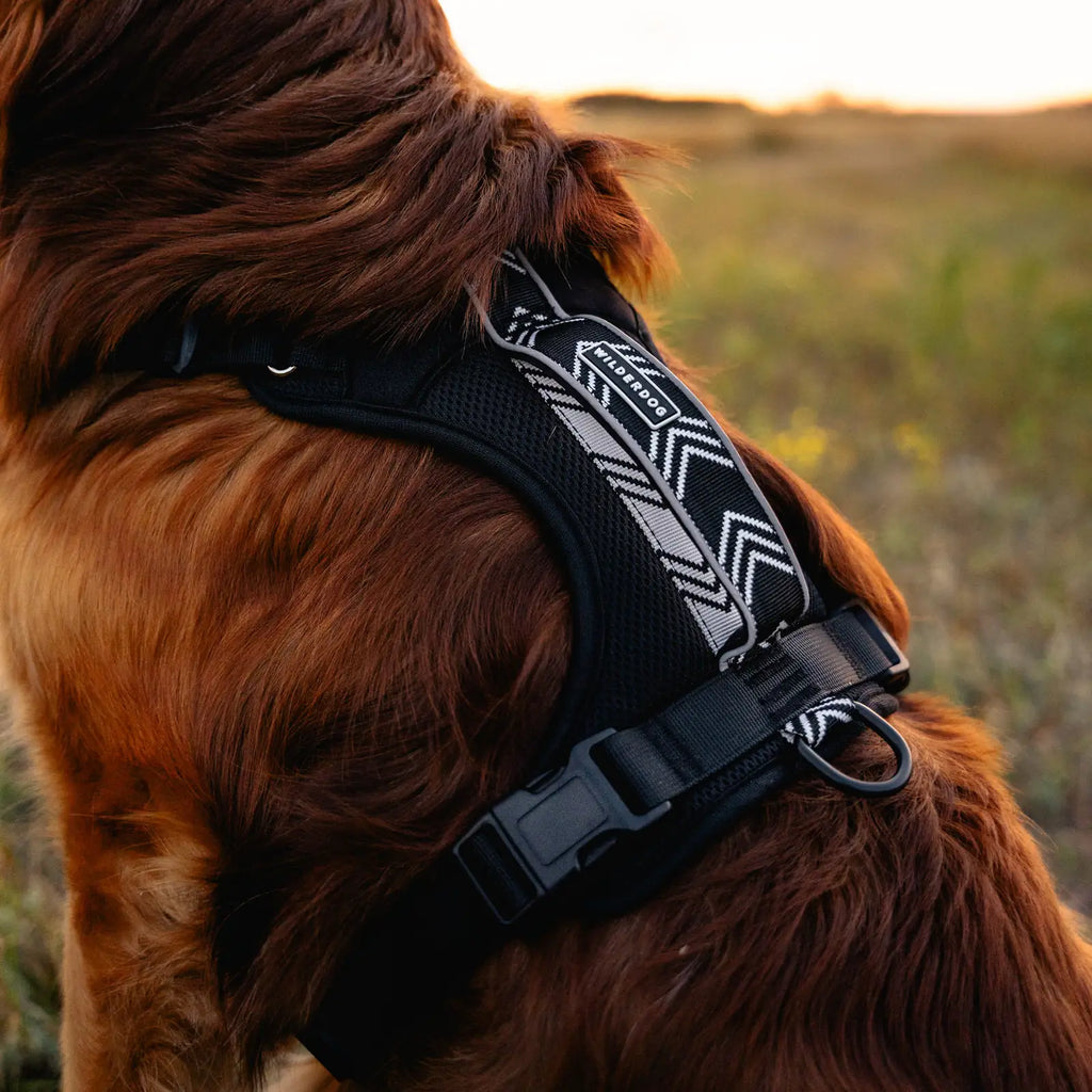 Adjustable reflective dog harness with breathable mesh